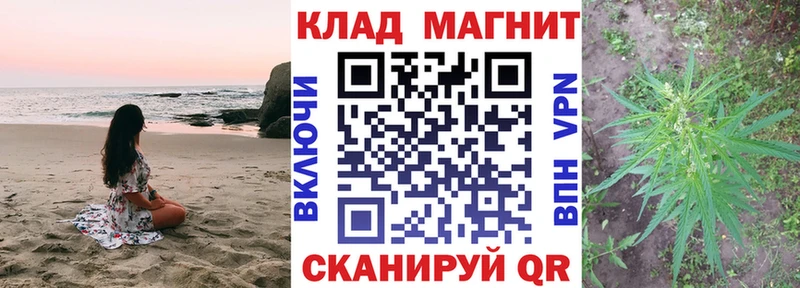 МЕФ Ржев