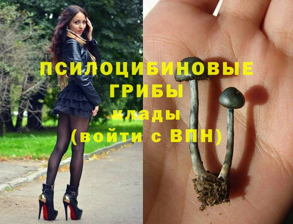 гашиш Абаза